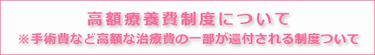 さいたま市のスカイ眼科大宮クリニックー高額療養費制度